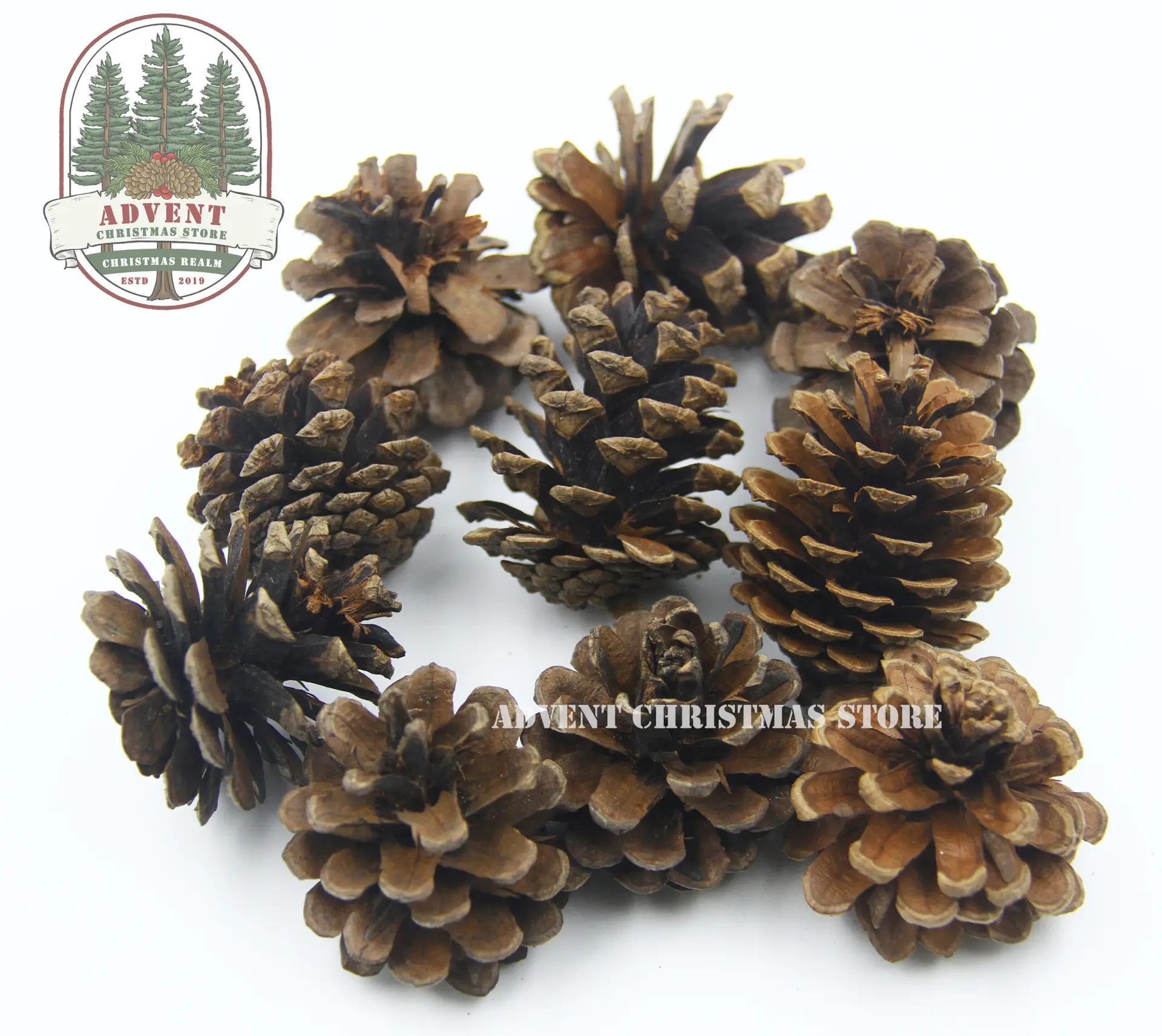 Pinecones