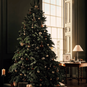 Evergreen Traditional Christmas Tree
