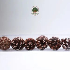 NATURAL PINECONES WITH SNOW [PACK OF 6]